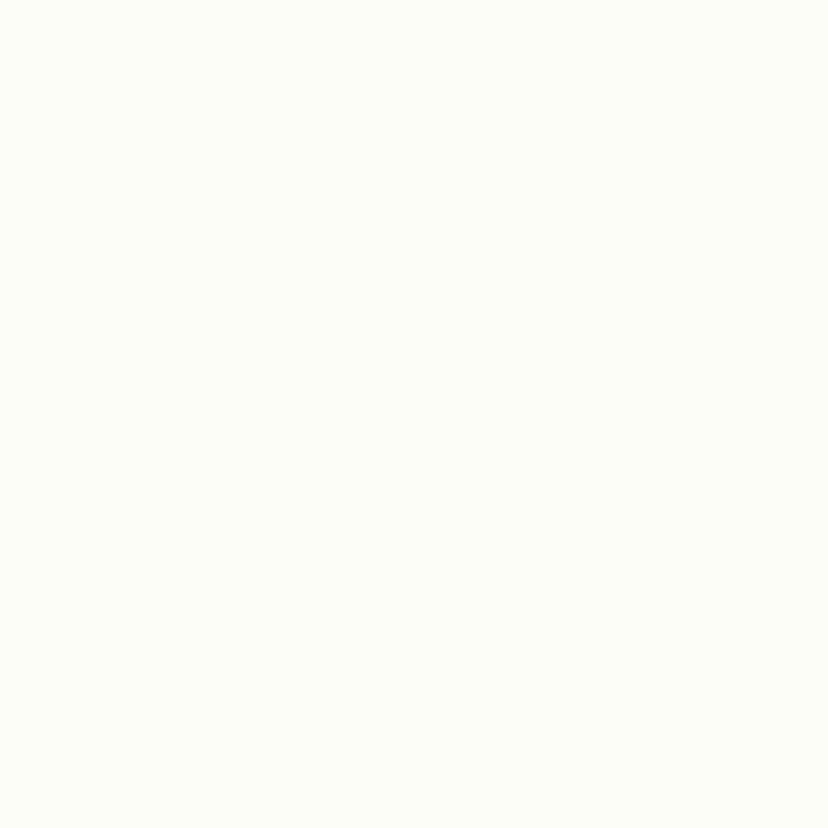 White |#| Folding Chair - White Plastic – 650LB Weight Capacity - Event Chair